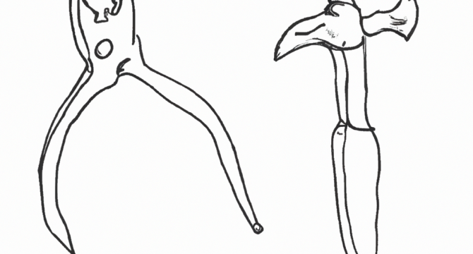 Техника ловли плотвы на мормышку