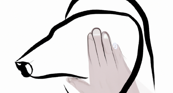 Как поймать крупного леща на фидер