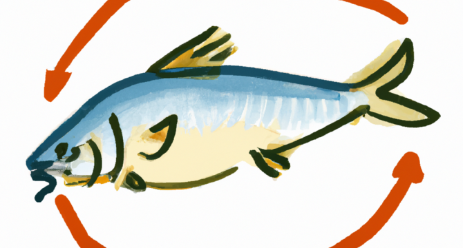 Как вести себя при поклевке крупной рыбы