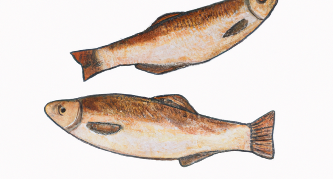 Ловля рыбы на пенопласт